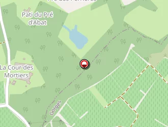 Carte de Cormerais Damien à Gorges