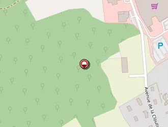 Carte de Drouin Thierry à Perrusson