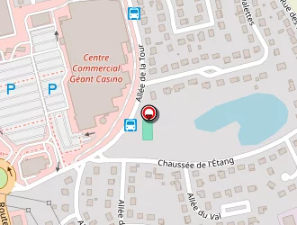 Carte de Sannier Didier à Saint-doulchard