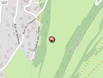 Carte de Bmg Peinture à Abbans-dessus