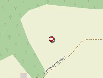 Carte de Bedu Thierry à Blismes