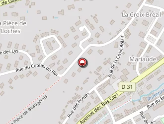 Carte de Chevreau Joëlle à Loches