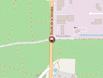 Carte de Erceau Mickael à Gorges