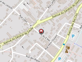 Carte de Pro&cie Laser 2000 Dépannage Adhérent à Loches