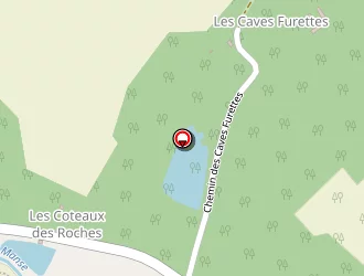 Carte de Gallaud Aurélien à Saint-épain