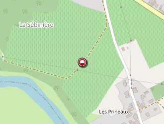 Carte de Les Chais Des Prineaux à Pallet (le)