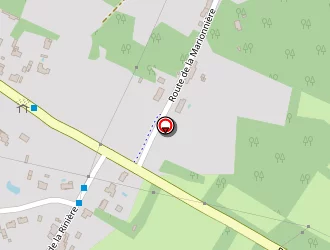 Carte de Michaud Michel à Saint-aignan-grandlieu