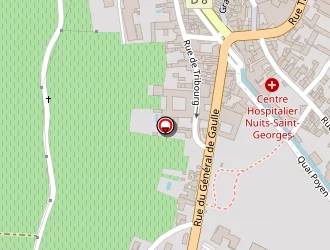 Carte de Hostellerie Saint Vincent à Nuits-saint-georges