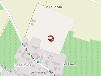 Carte de Griselin Caroline à Vaudelnay