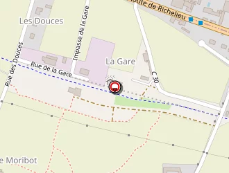 Carte de Alzon à Chinon