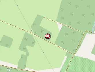 Carte de Mercier Jeanne à Anché