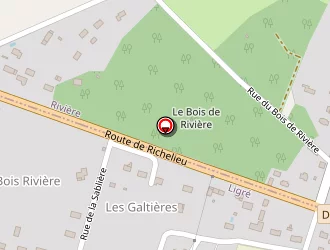 Carte de Gilles Moirin à Ligré