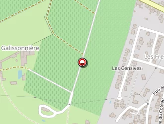 Carte de Lusseaud Vignobles à Pallet (le)