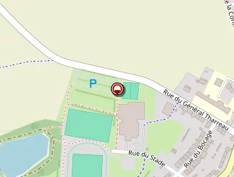 Carte de Codineau à May-sur-èvre (le)