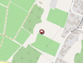 Carte de Sigogne Pierre à Bouaye