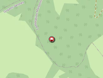 Carte de Des Geys (scea) à Guyans-vennes