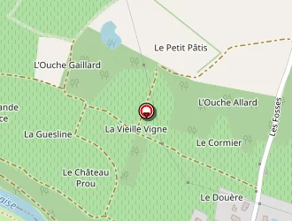 Carte de Bedouet Vigneron à Pallet (le)