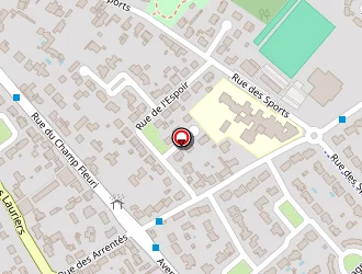 Carte de Emfa à Sorinières (les)