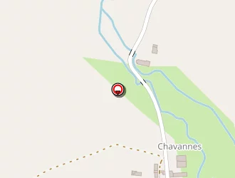 Carte de Bati-gaulois à Massay