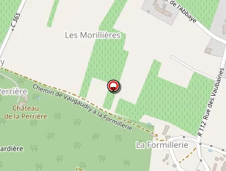 Carte de Stic à Chinon