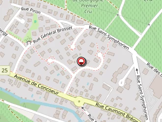 Carte de Vigot Pascal à Nuits-saint-georges