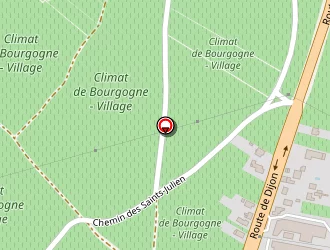 Carte de Téléminfor Services à Nuits-saint-georges