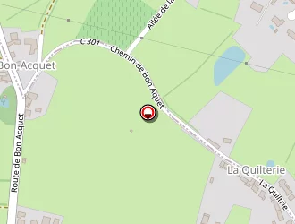 Carte de Buf à Sorinières (les)