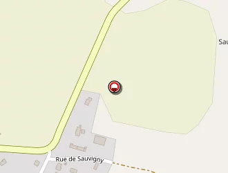 Carte de Tixier à Graçay