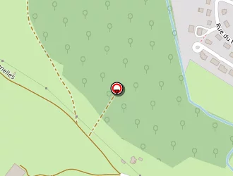 Carte de Hasle Stéphane à Châtenois