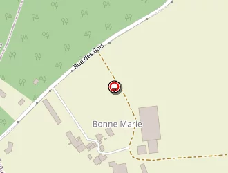 Carte de Sorin Benoît à Gesté