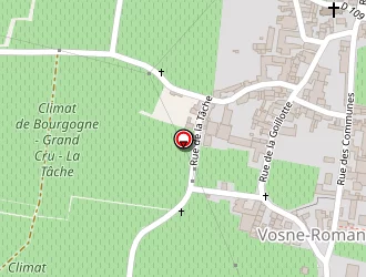 Carte de Cathiard Sylvain à Vosne-romanée