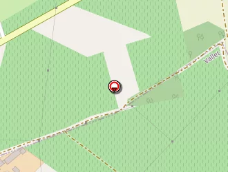 Carte de Lechat Stéphane à Vallet