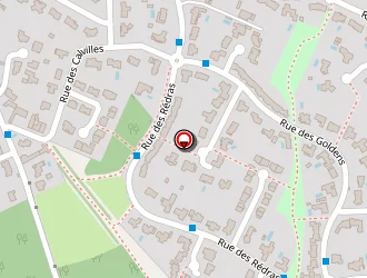 Carte de Seillery Laëtitia à Vertou