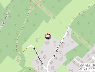 Carte de Chaillard Patrick à Vorges-les-pins