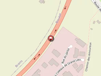 Carte de Dufour à Bouaye