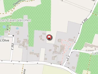 Carte de Bénini Roger à Chinon