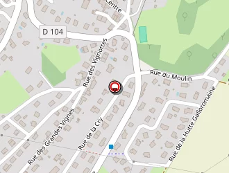 Carte de Terrain De Pétanque à Torpes