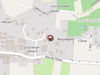 Carte de Leylavergne à Chinon