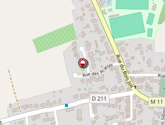 Carte de Vs Micro à Brains