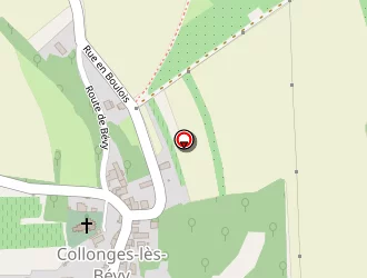 Carte de Nicolas Garcia à Collonges-lès-bévy