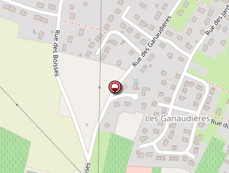 Carte de Auto Sécurité Bcl Contrôle Technique Affilié à Chinon