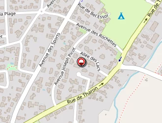 Carte de Leyer Pierre à Saint-michel-chef-chef