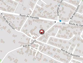 Carte de Delrue Gérard à Vertou