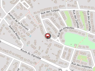 Carte de Boisteau Guy à Vertou