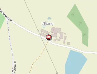 Carte de Thomas Céline à Chemille-melay