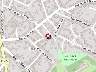 Carte de Deniel Nelly à Rezé