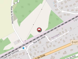 Carte de La Nichée à Saint-vit