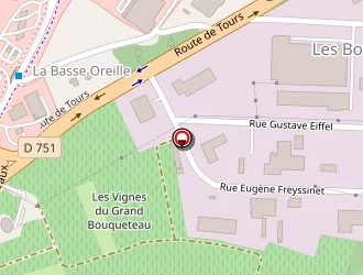 Carte de Ragonneau Marc à Chinon