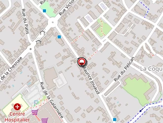 Carte de Ruiz Pierre à Rezé