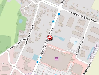 Carte de Bonnet Thirode à Montagne (la)